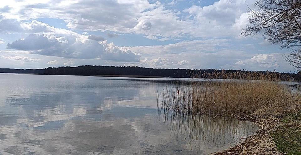 Cztery Pory Warmii Pluski Pokoje Do Wynajecia Exterior foto