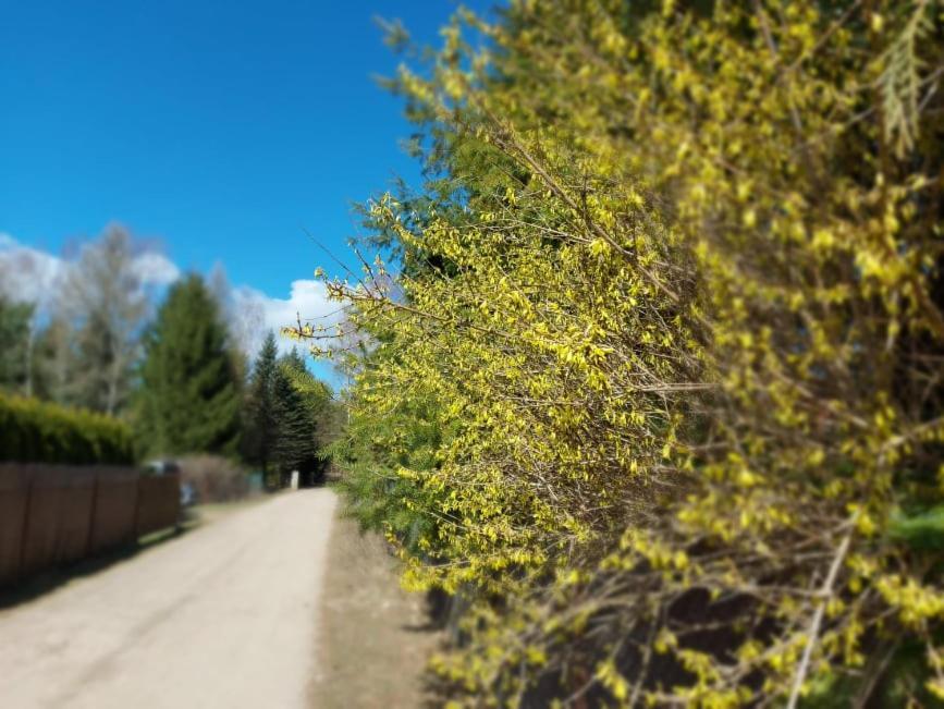 Cztery Pory Warmii Pluski Pokoje Do Wynajecia Exterior foto