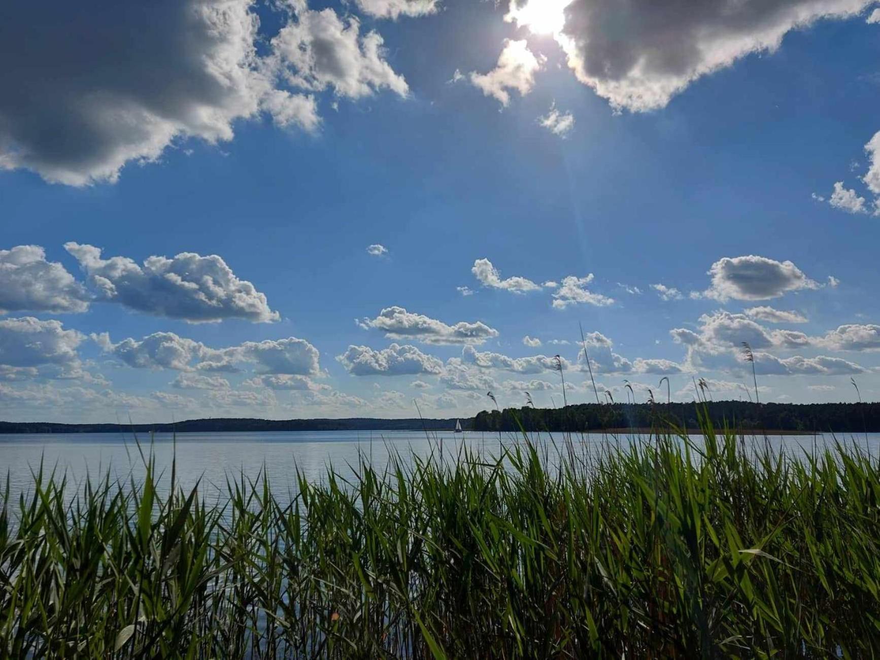 Cztery Pory Warmii Pluski Pokoje Do Wynajecia Exterior foto